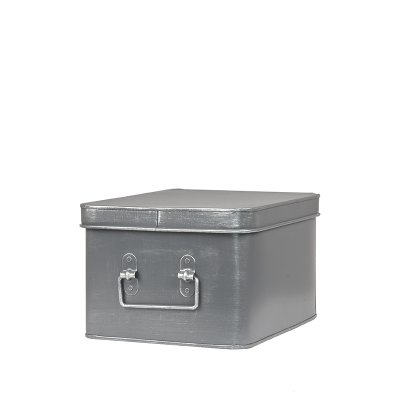 LABEL51 Media Opbergkist - Grijs - Metaal - L Media Opbergkist